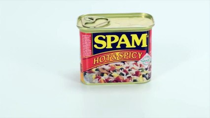 The Ultimate Spam Taste Test