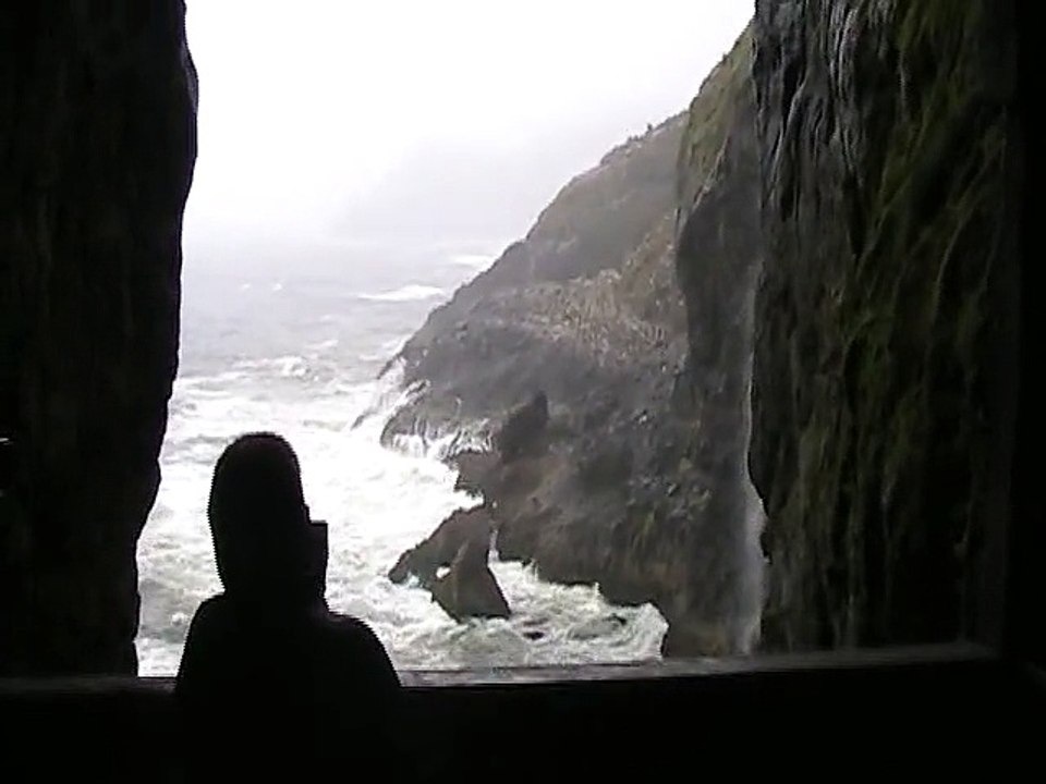Cormorants at Sea Lion Caves