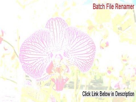Batch File Renamer Serial (Legit Download 2015)