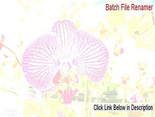 Batch File Renamer Serial (Legit Download 2015)