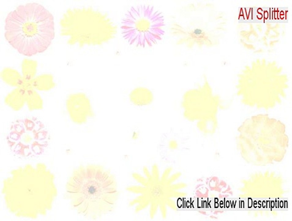 AVI Splitter Free Download (Free of Risk Download 2015)