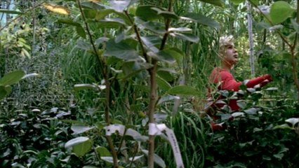 Mourir comme un homme VOST - Ext 3