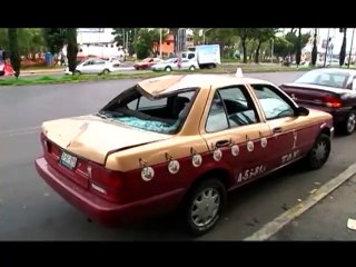 Video muestra como 30 caballos sueltos causan estragos en México