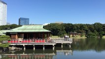 Tokyo Hamarikyu Gardens - Le jardin Hama-Rikyū