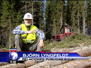 En Suecia, una gigante productora de papel vio su negocio en la conservación