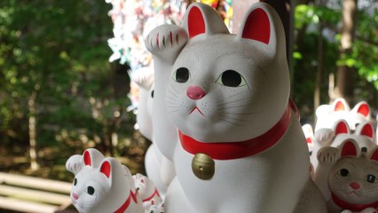 Tokyo Gotokuji Temple / Maneki Neko