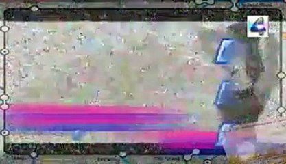 soñar con abejas volando sobre flores enigmas misterios secretos mitos paranormal fantastico español latino