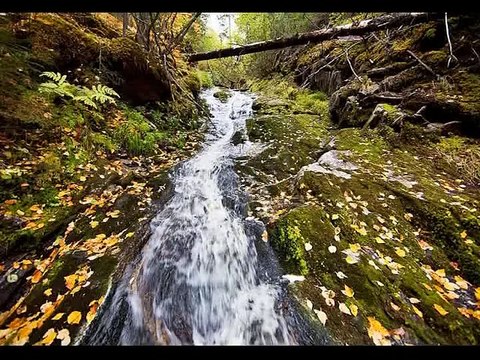 5к- Майская осень 38 мин.