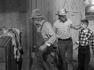 The Real Mccoys - S04E09 The Hermit