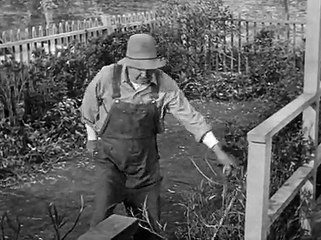 The Real Mccoys - S04E13 The City Boy