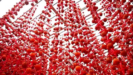 Remember the people who resemble nature 자연을 닮은 사람들을 기억하기