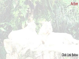 Active@ Password Changer Full [Free of Risk Download 2015]