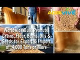 Purchase Peanuts Import, Peanuts Import, Peanuts Import, Peanuts Import, Peanuts Import, Peanuts Import