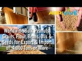 Acquire Bulk Peanuts for Importing, Peanuts Importers, Peanuts Importer, Peanuts Imports, Import, Import