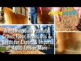 Buy Bulk Peanuts, Bulk Wholesale Peanuts, Bulk Food Peanuts, Bulk Peanuts for Sale, Buy Bulk Peanuts