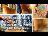 Large Scale Peanuts Sales, Peanuts Export, Peanuts Milling, Peanuts, Peanuts Mill, Peanuts Mill, Peanuts