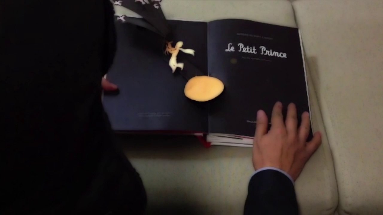 Le petit prince pub librerie