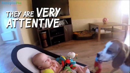 A Few Reasons Why Dogs Make The Perfect Babysitters