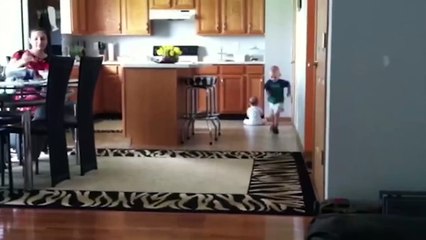 funny animal, playing with baby