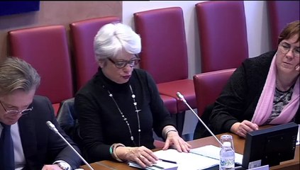 M. Gautier Bailly, sous-dir à la direction du budget  - Mardi 3 Février 2015