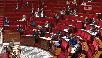 CROISSANCE, ACTIVITÉ ET ÉGALITÉ DES CHANCES ÉCONOMIQUES (suite) - Mardi 3 Février 2015