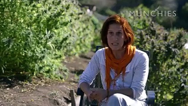 Aurora Leveroni, alias Nonna Marijuana: I segreti della cucina curativa alla cannabis.