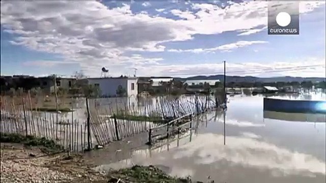 Flooding in Balkans causes major losses to livestock and crops