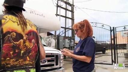 One Last Road Trip for Bluey   Pit Bulls and Parolees