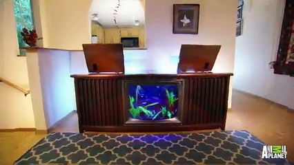 Tanked Aftershow  TV Tank