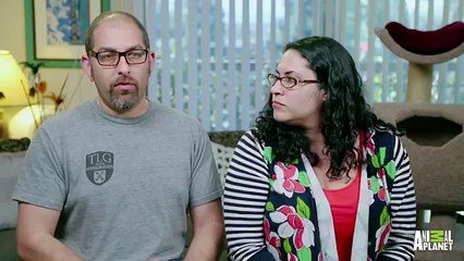 Has Monty Stopped Eating Everything in Sight    My Cat From Hell