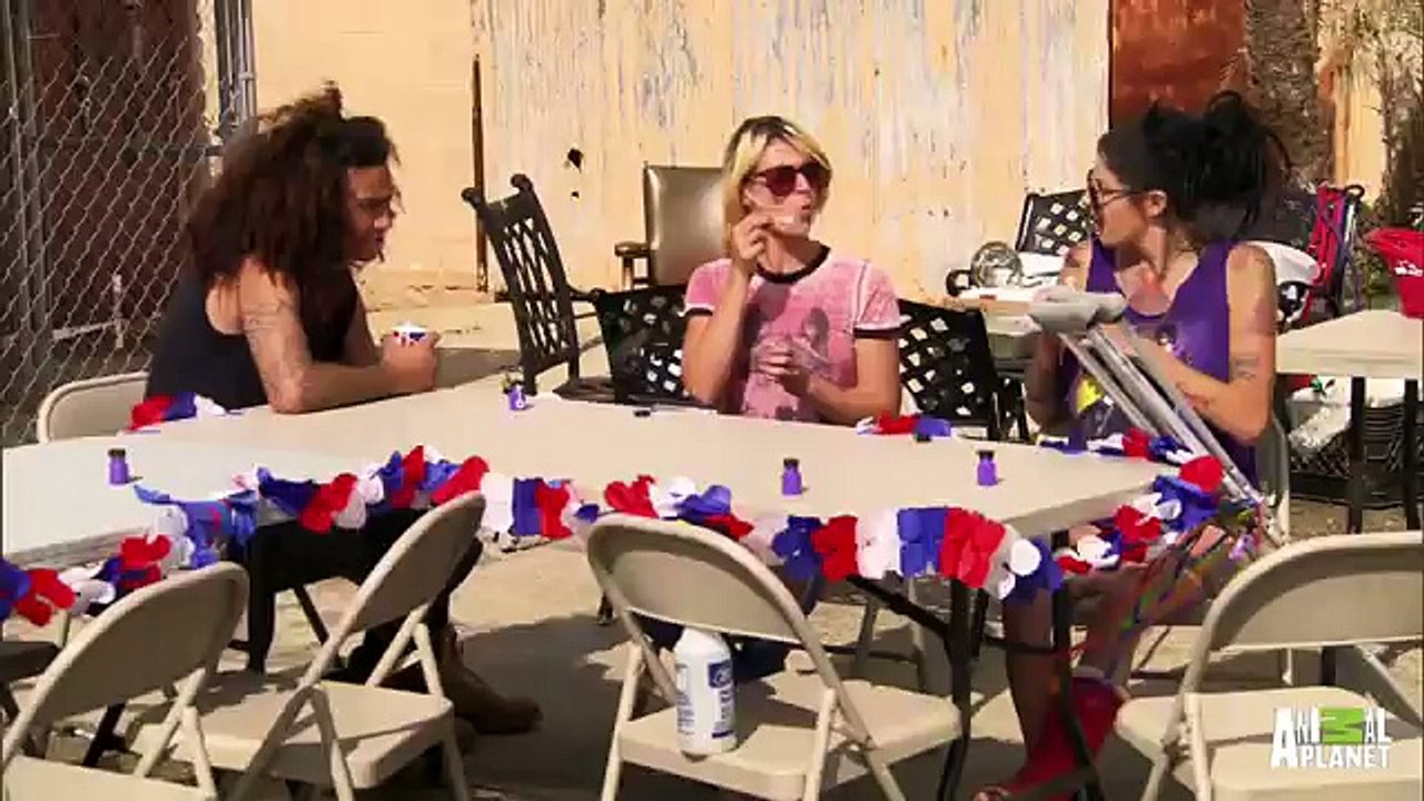 Earl Is Finally Off Parole   Pit Bulls and Parolees