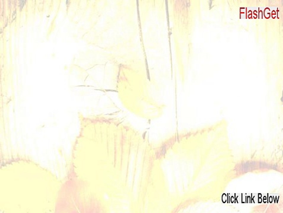 FlashGet Serial - Risk Free Download 2015