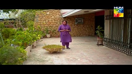 Paigham-e-Haq Telefilm Hum TV Drama