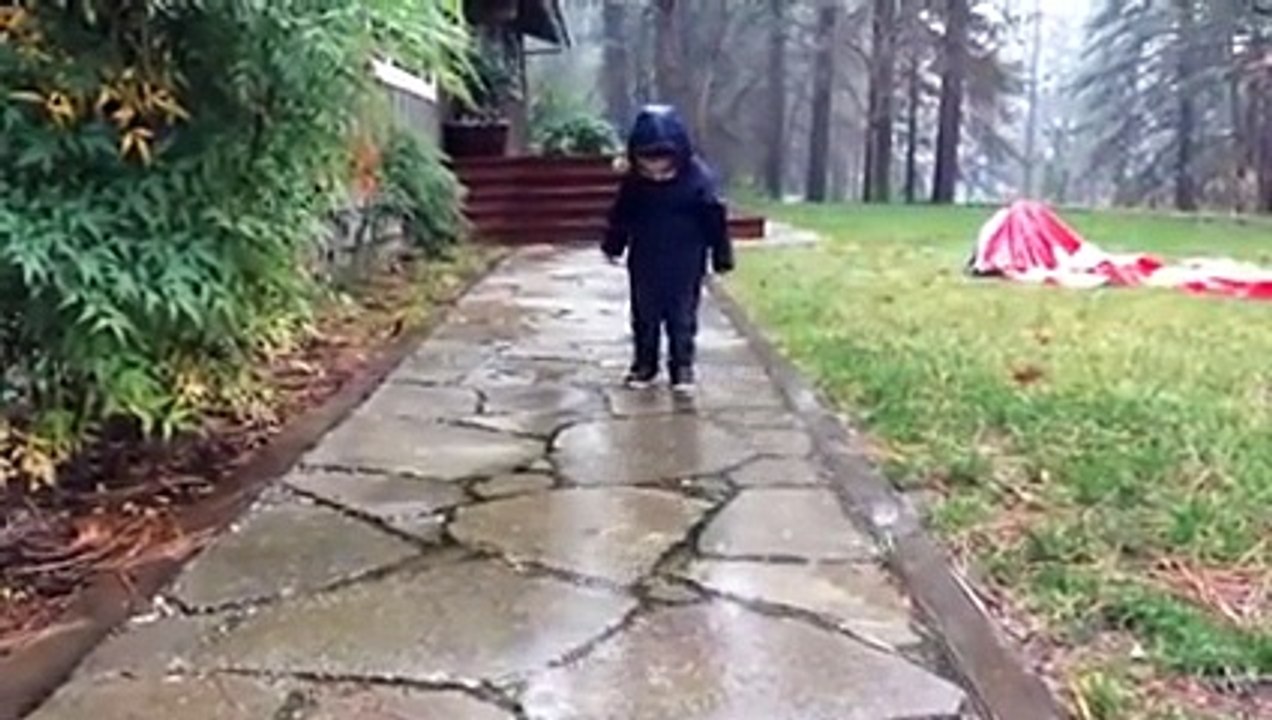 This Tiny Fella Cant Quite Keep His Balance ..