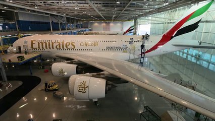 Emirates Take Cricket World Cup To New Heights!