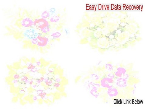Easy Drive Data Recovery Key Gen [Instant Download]
