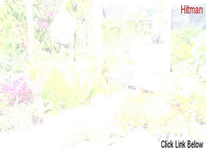 Hitman: Codename 47 Download [hitman]