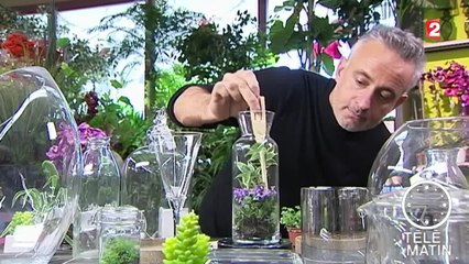 Des plantes en bocal