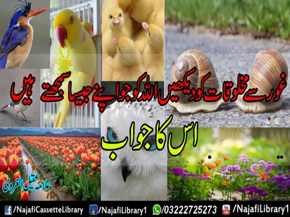 Allah Ko jo Apnay jesa Samajtay Hain Uska Jawab ! Allama Aqeel gharvi