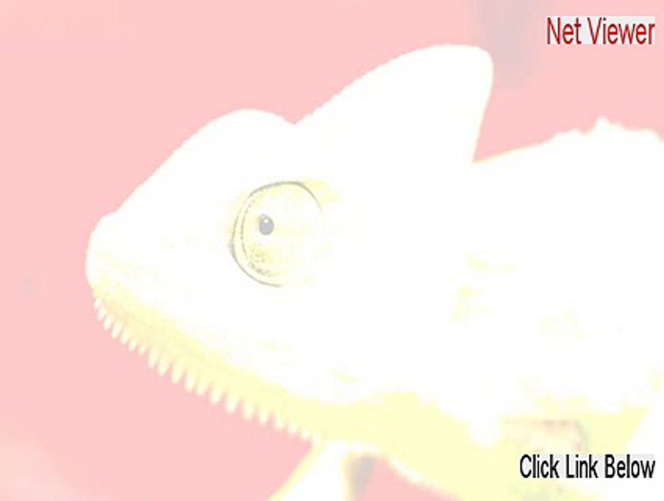 Net Viewer Cracked (Download Now)