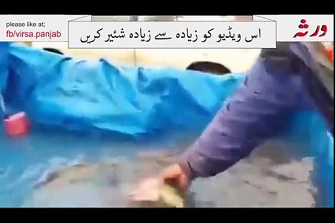 ایک ایسی مچھلی جس کے اندر سے سب اعضاء نکال دئیےگے لیکن پھر بھی زندہ اللہ اکبر