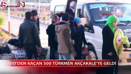 IŞİD'den kaçan 500 Türkmen Akçakale'ye geldi