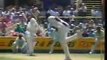 Curtley Ambrose Devastating Bowling Spell of 7 for 1 run - West Indies v Australia