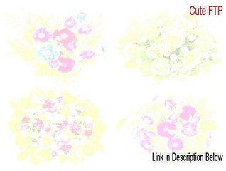 Cute FTP (Traditional Chinese) Cracked [cuteftp pro]