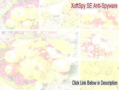 XoftSpy SE Anti-Spyware Cracked (Instant Download 2015)