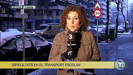 TV3 - Els Matins - Alerta per neu a qualsevol punt del país