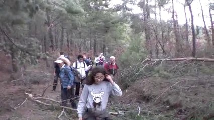 Çınardibi Mahmut Dağı