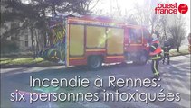 Incendie à Rennes dans un immeuble près des Horizons. Le chien alerte sa maitresse