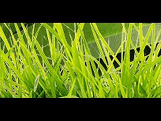 Jak sprawdzić zdolność kredytową