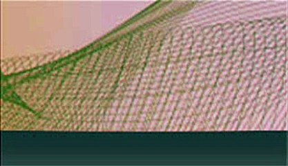 Jak szybko załatwić formalności kredytowe